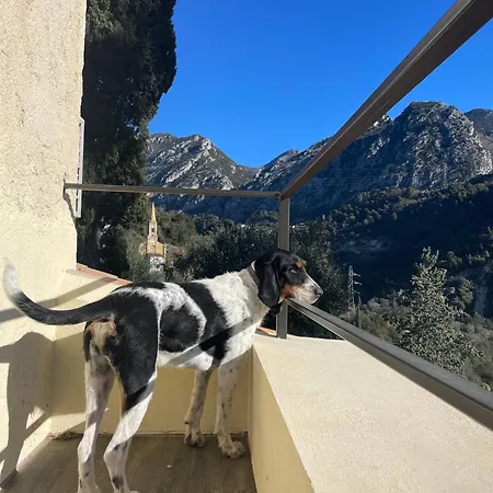 Villa Villa-Monti Luxury Villa With Private Pool, Fully Air Conditioned Bedrooms, 5 Star Superhosts! Menton