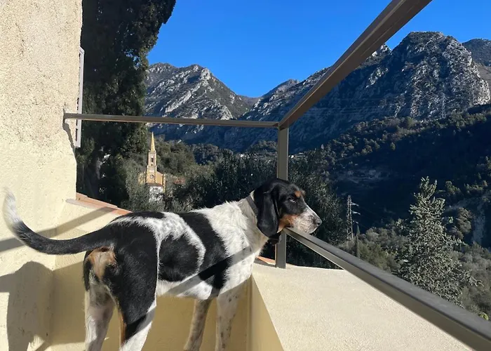 Villa Villa-monti Luxury With Private Pool, Fully Air Conditioned Bedrooms, 5 Star Superhosts! Menton